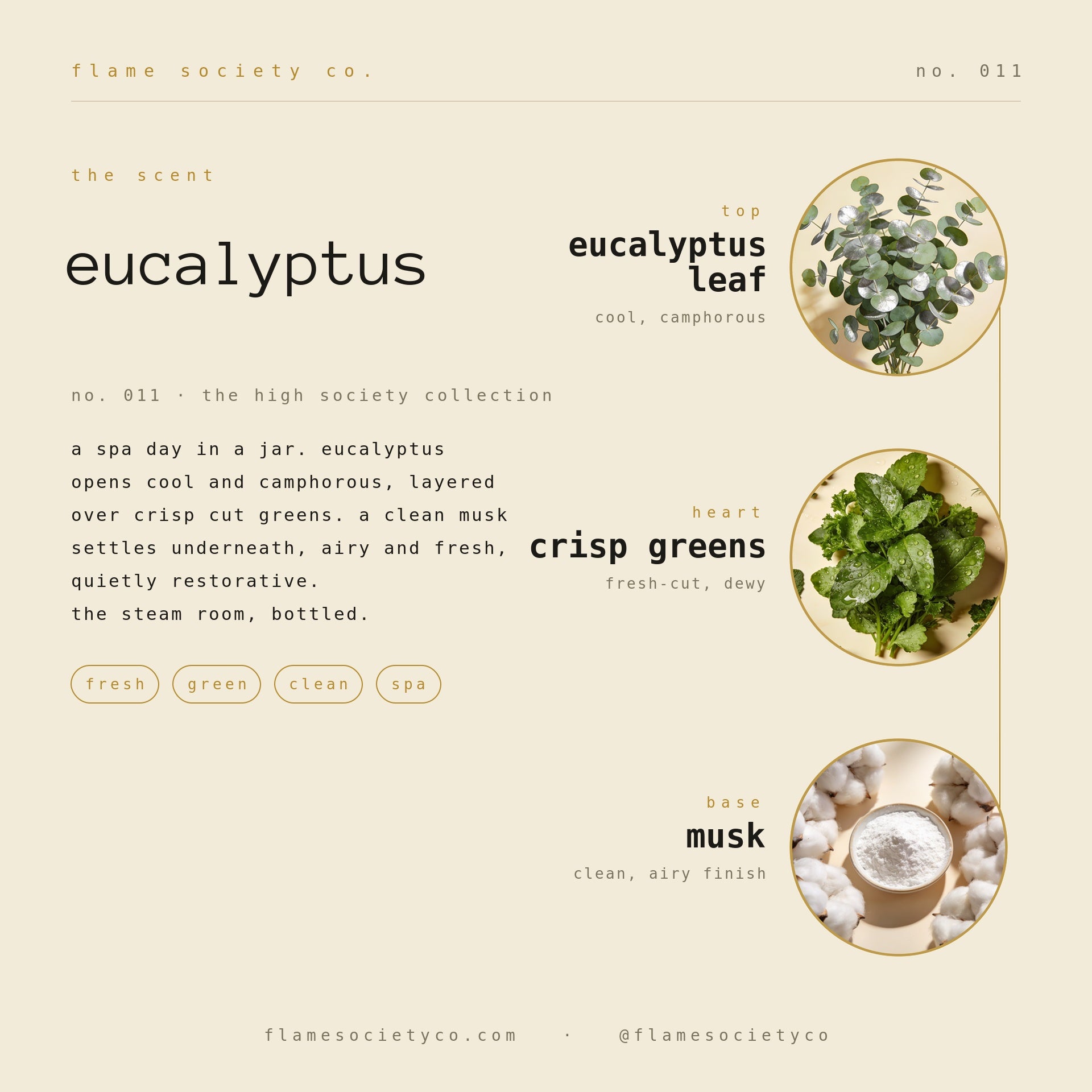 Eucalyptus scent card: eucalyptus leaf, crisp greens, musk — no. 011, the high society collection.
