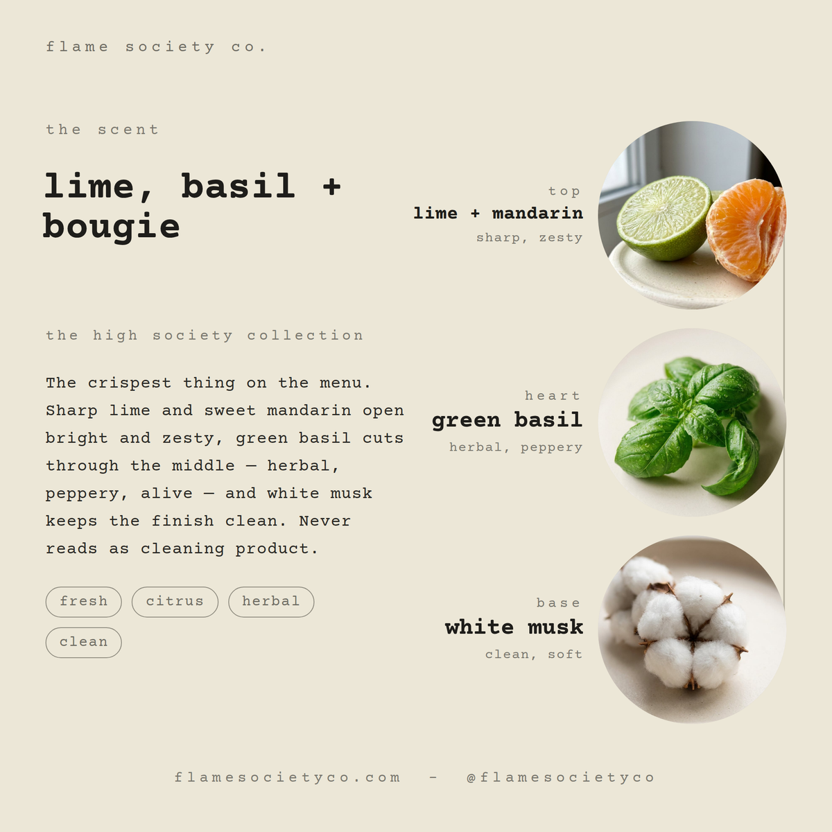 Lime, Basil + Bougie scent card: lime + mandarin, green basil, white musk — the high society collection — Flame Society Co.