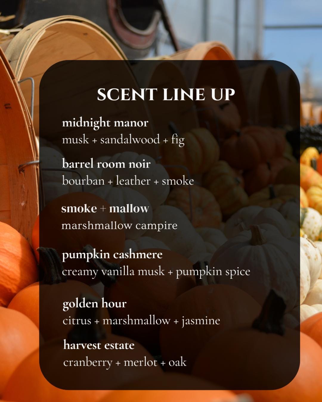 Fall Candle Collection: 4oz Soy Candles Autumn Scents| Pumpkin Spice, Campfire Marshmallow & More + Gift Sets, Teacher Appreciation Gift