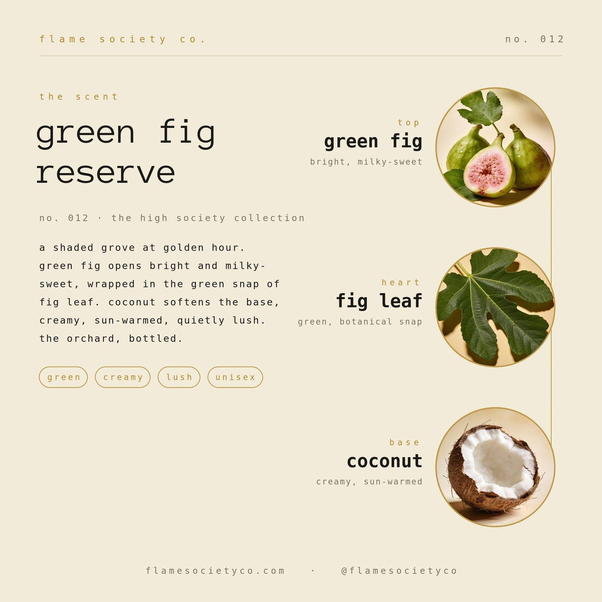 Green Fig Reserve | Green Fig, Fig Leaf & Coconut Candle | Fresh Luxury CocoSoy Candle