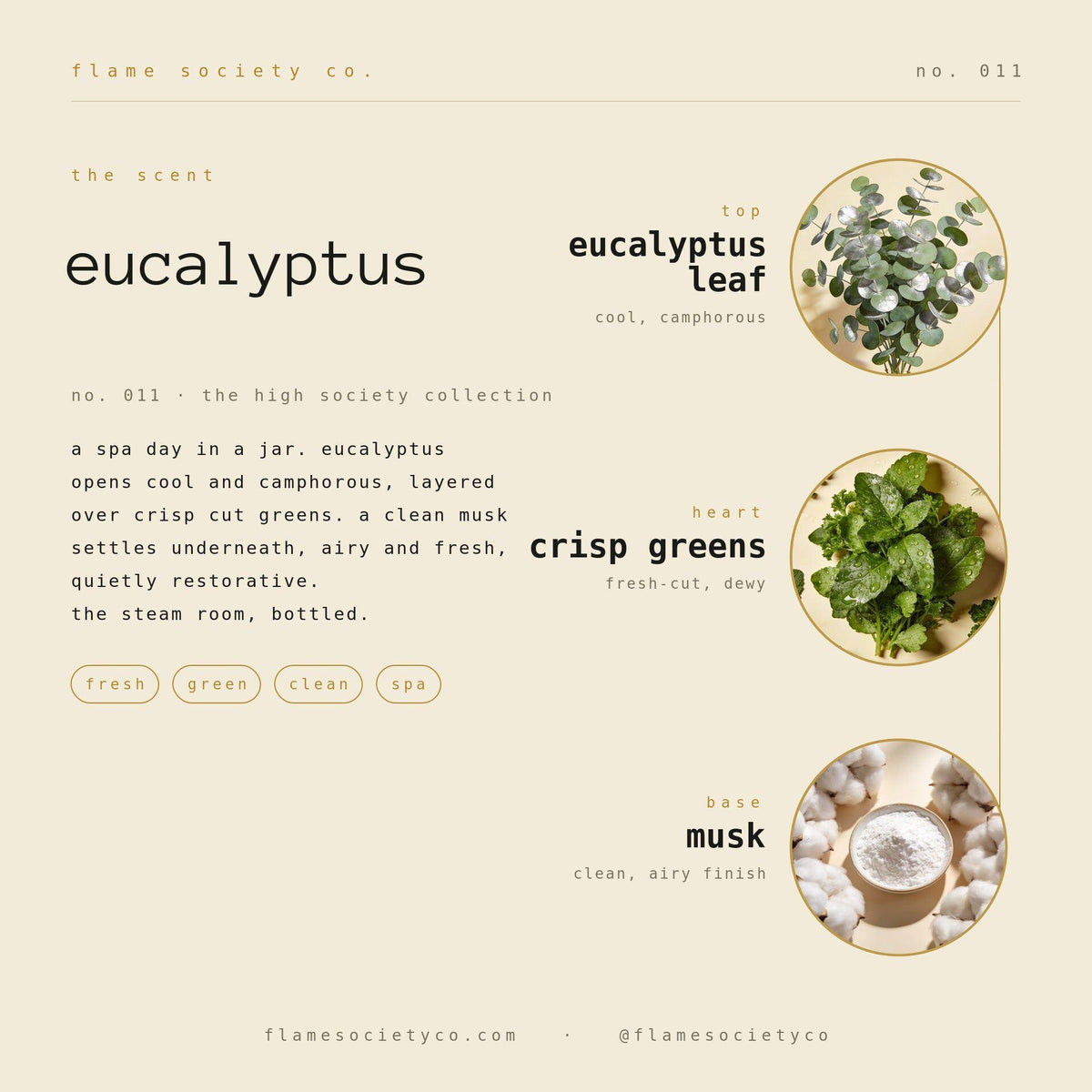 Eucalyptus Leaf Candle | Crisp Greens, Clean Musk, Spa Fresh CocoSoy
