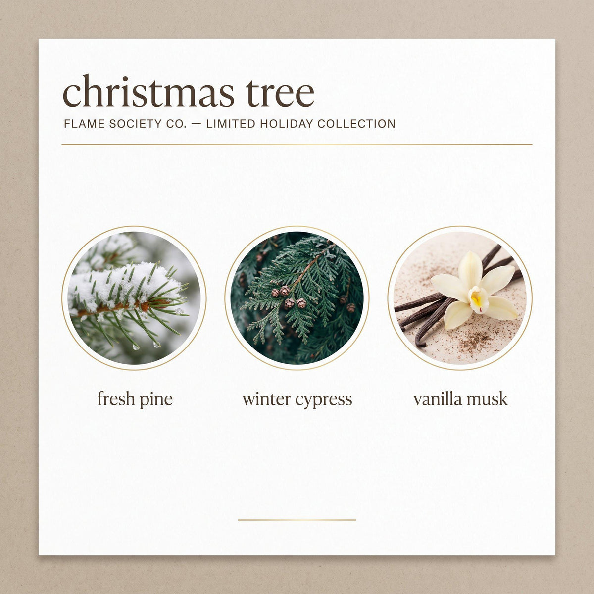 Christmas Tree | Fresh Pine, Cypress & Vanilla Musk Candle | Holiday CocoSoy Candle