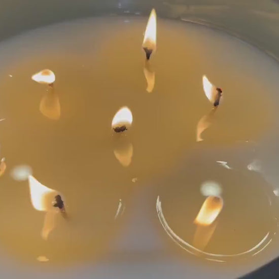 Green Fig Reserve | Green Fig, Fig Leaf & Coconut Candle | Fresh Luxury CocoSoy Candle