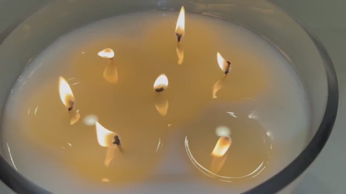 Green Fig Reserve | Green Fig, Fig Leaf & Coconut Candle | Fresh Luxury CocoSoy Candle